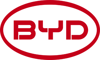 002594.SZ_BIG